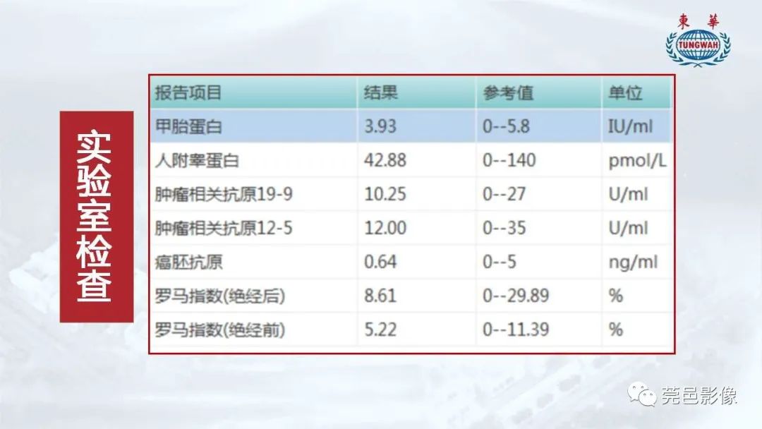 影像PPT - 【病例】一例肺良性转移性平滑肌瘤及文献复习-4