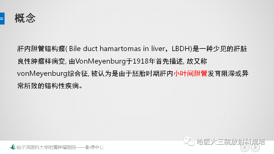 影像PPT - 【PPT】肝内胆管错构瘤的影像诊断-2