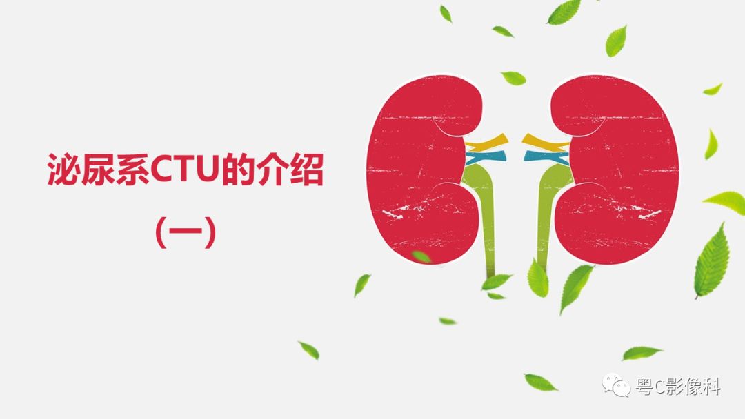影像PPT - 【PPT】泌尿系CTU扫描技术-2