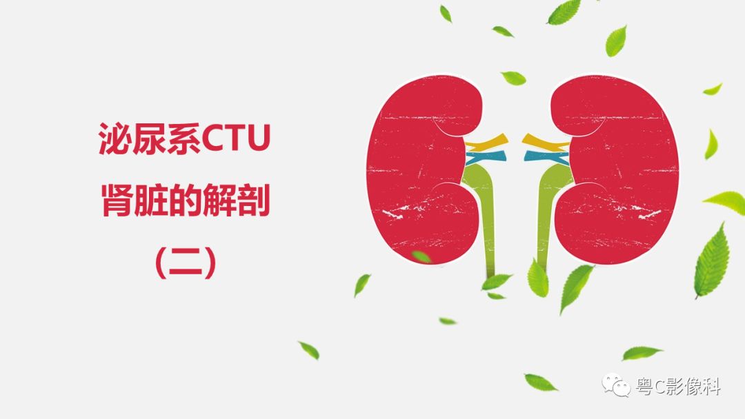 影像PPT - 【PPT】泌尿系CTU扫描技术-6