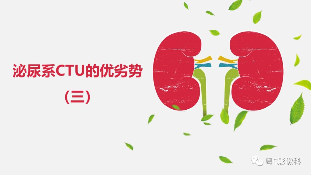 影像PPT - 【PPT】泌尿系CTU扫描技术-9