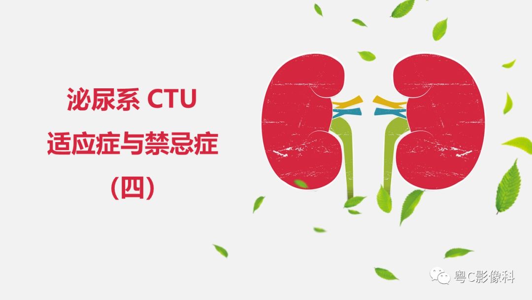 影像PPT - 【PPT】泌尿系CTU扫描技术-13
