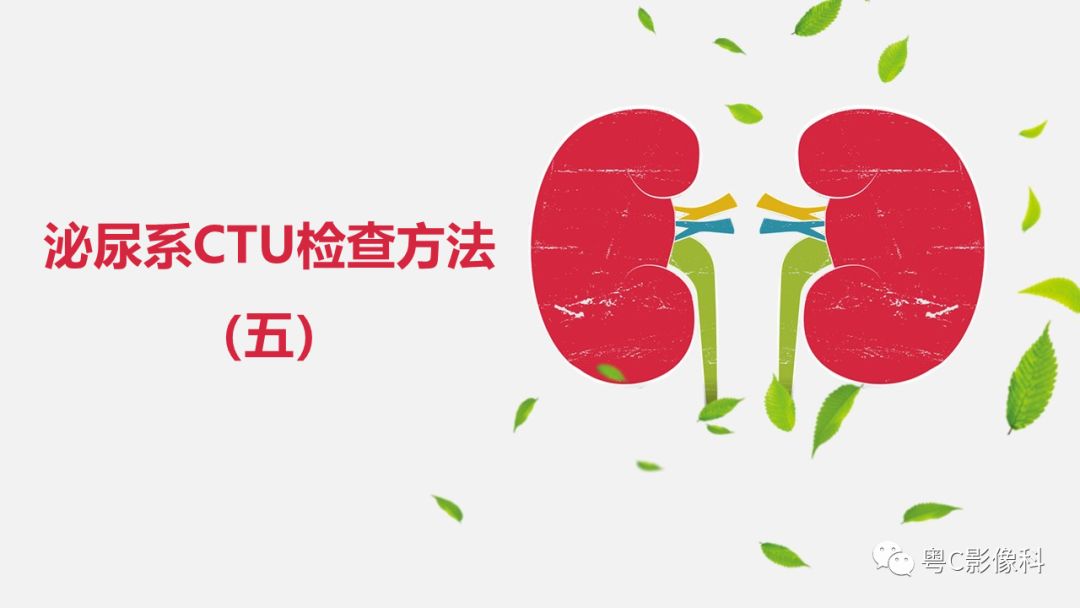 影像PPT - 【PPT】泌尿系CTU扫描技术-16