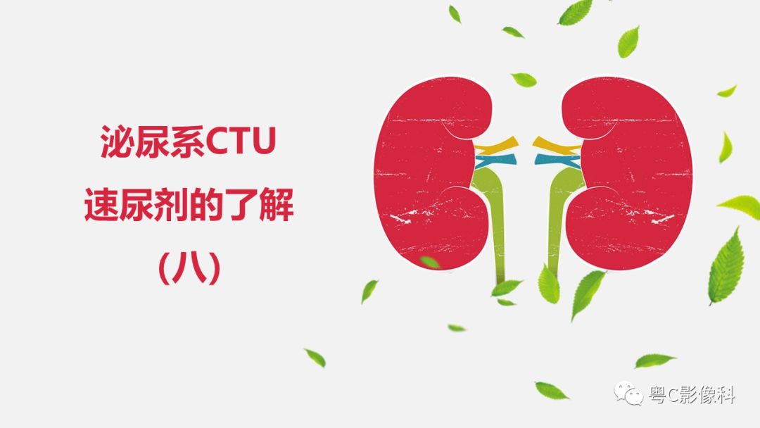 影像PPT - 【PPT】泌尿系CTU扫描技术-31