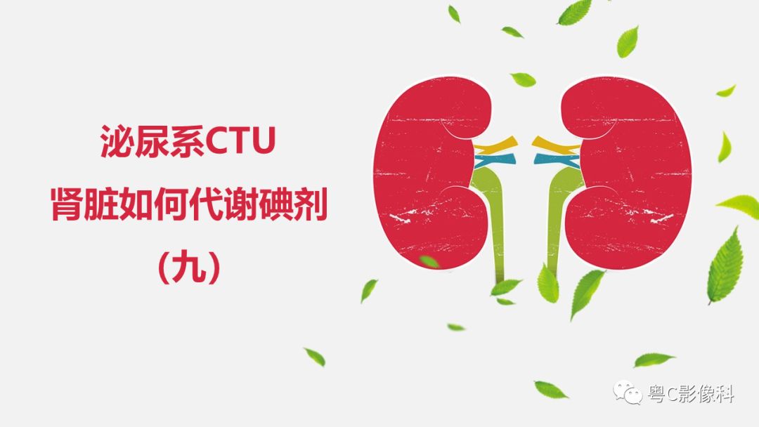 影像PPT - 【PPT】泌尿系CTU扫描技术-34