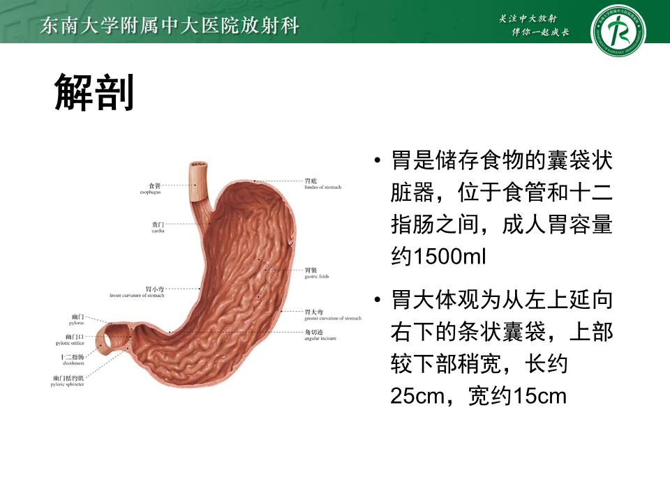影像PPT - 【PPT】胃间质瘤（GST）-12