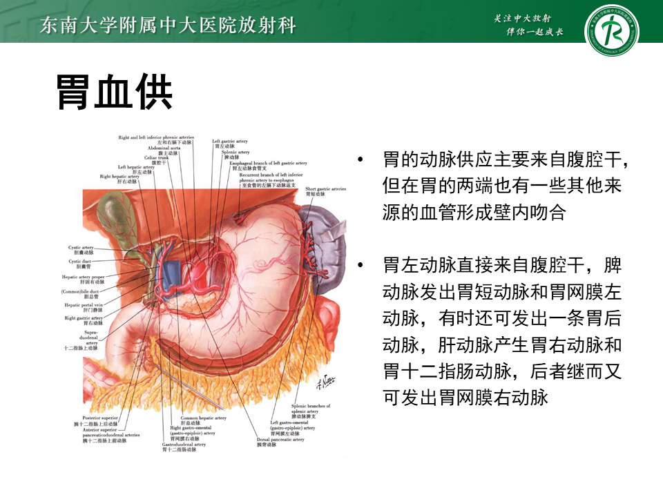 影像PPT - 【PPT】胃间质瘤（GST）-14