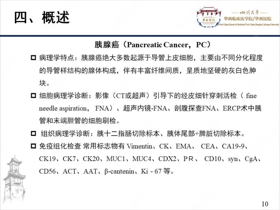 影像PPT - 【病例】胰腺癌1例CT影像-10