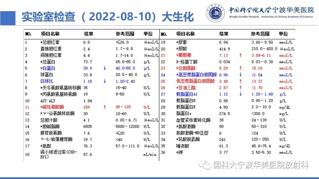 影像PPT - 【PPT】肺粘液腺癌-4
