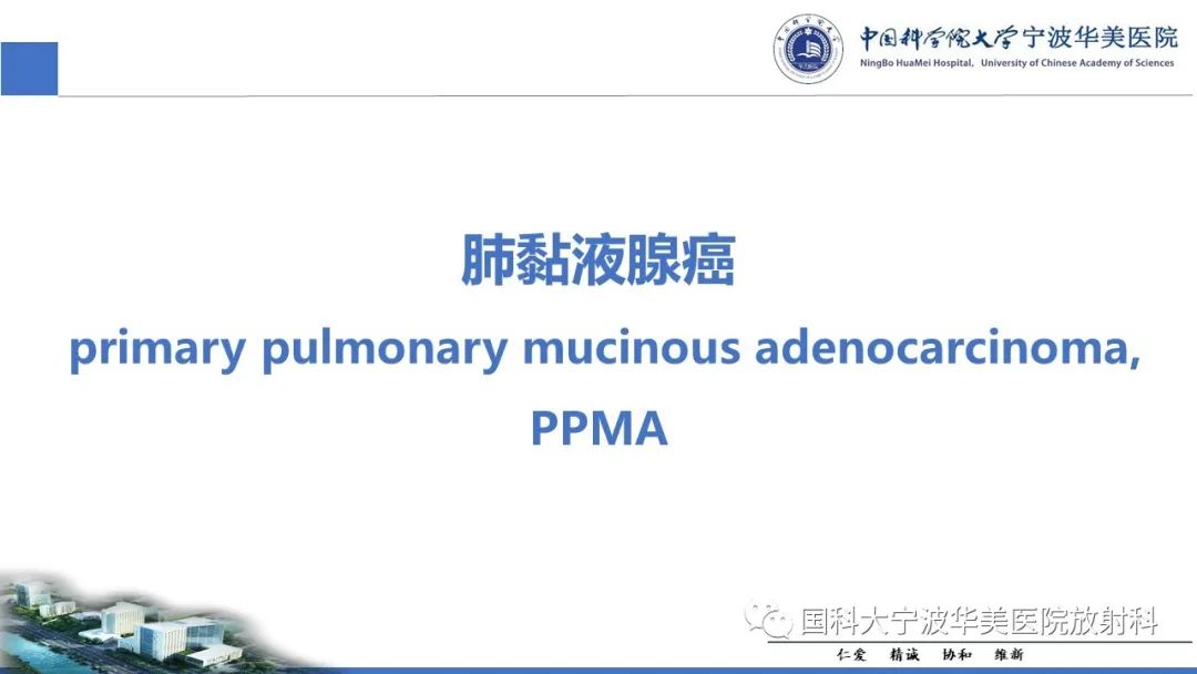 影像PPT - 【PPT】肺粘液腺癌-15