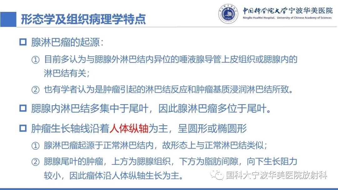 影像PPT - 【PPT】腮腺腺淋巴瘤-19