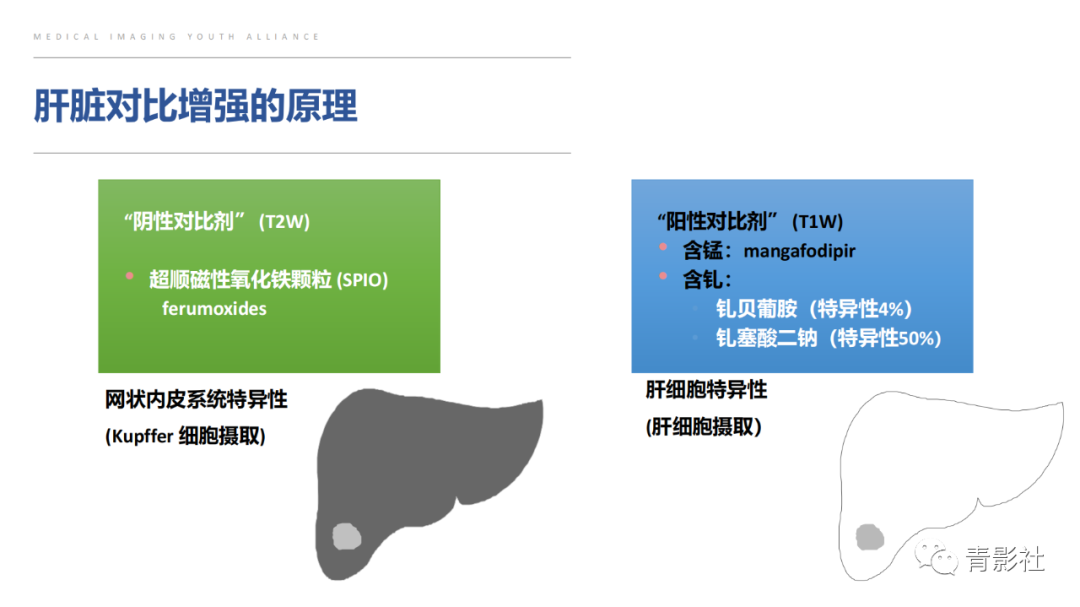 影像PPT - 【PPT】肝环形强化样病变MRI诊断思路-7