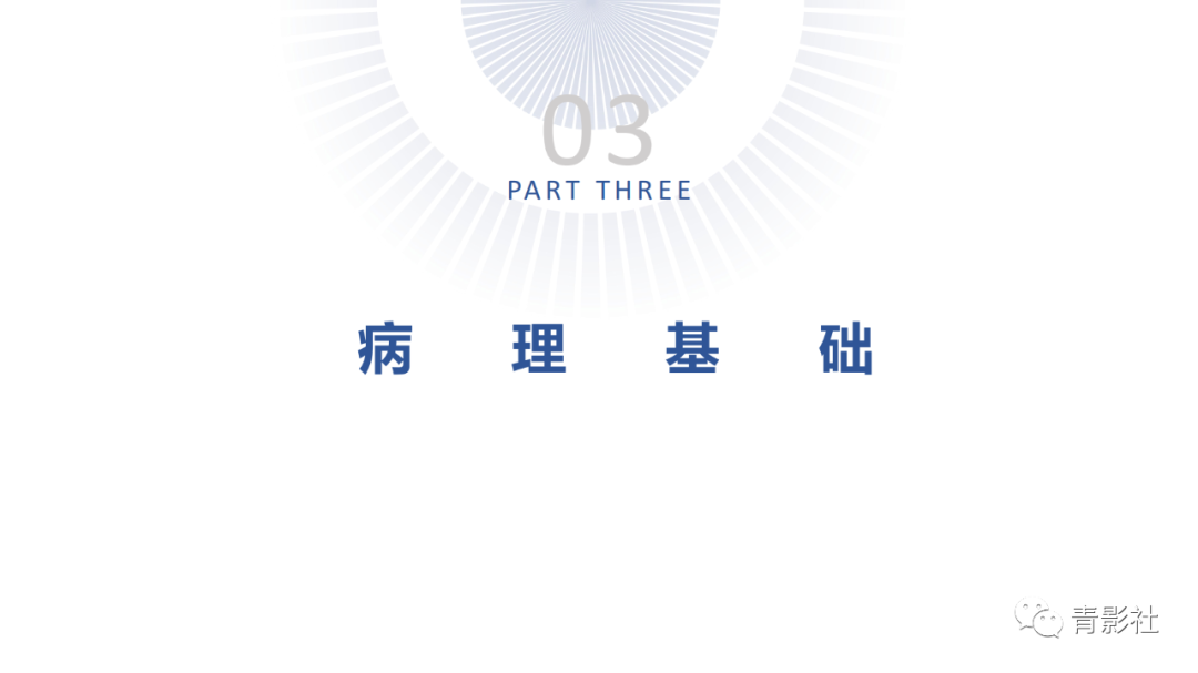 影像PPT - 【PPT】肝环形强化样病变MRI诊断思路-14