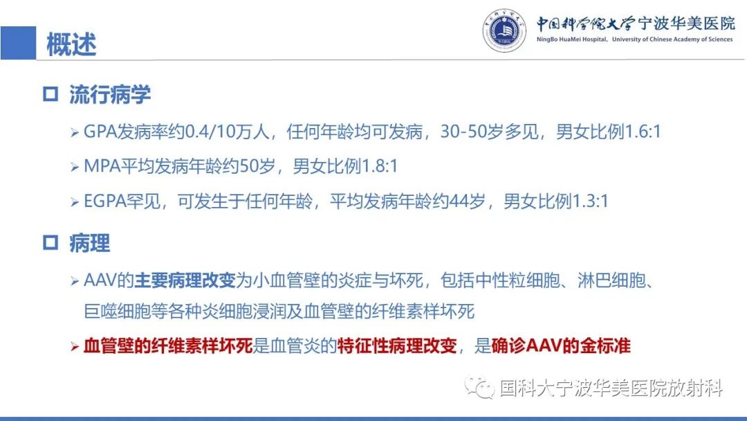 影像PPT - 【病例】抗中性粒细胞胞浆抗体相关性血管炎1例肺部CT表现-21