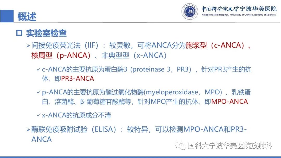 影像PPT - 【病例】抗中性粒细胞胞浆抗体相关性血管炎1例肺部CT表现-22