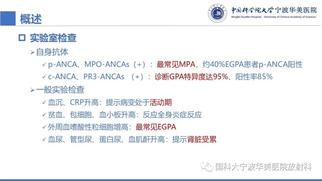 影像PPT - 【病例】抗中性粒细胞胞浆抗体相关性血管炎1例肺部CT表现-23