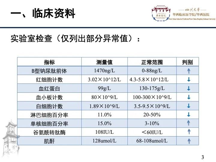 影像PPT - 【病例】心脏内膜肉瘤1例CT影像诊断-3