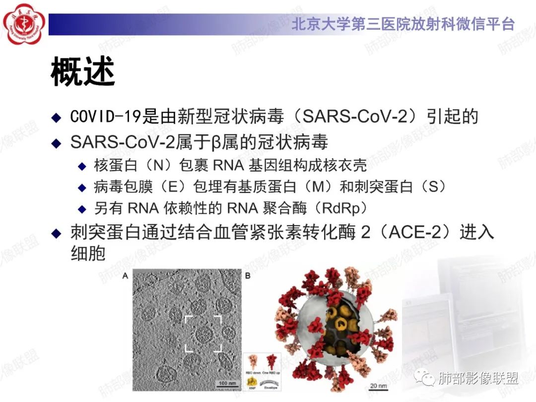 影像PPT - 【PPT】新冠肺炎CT影像表现-3