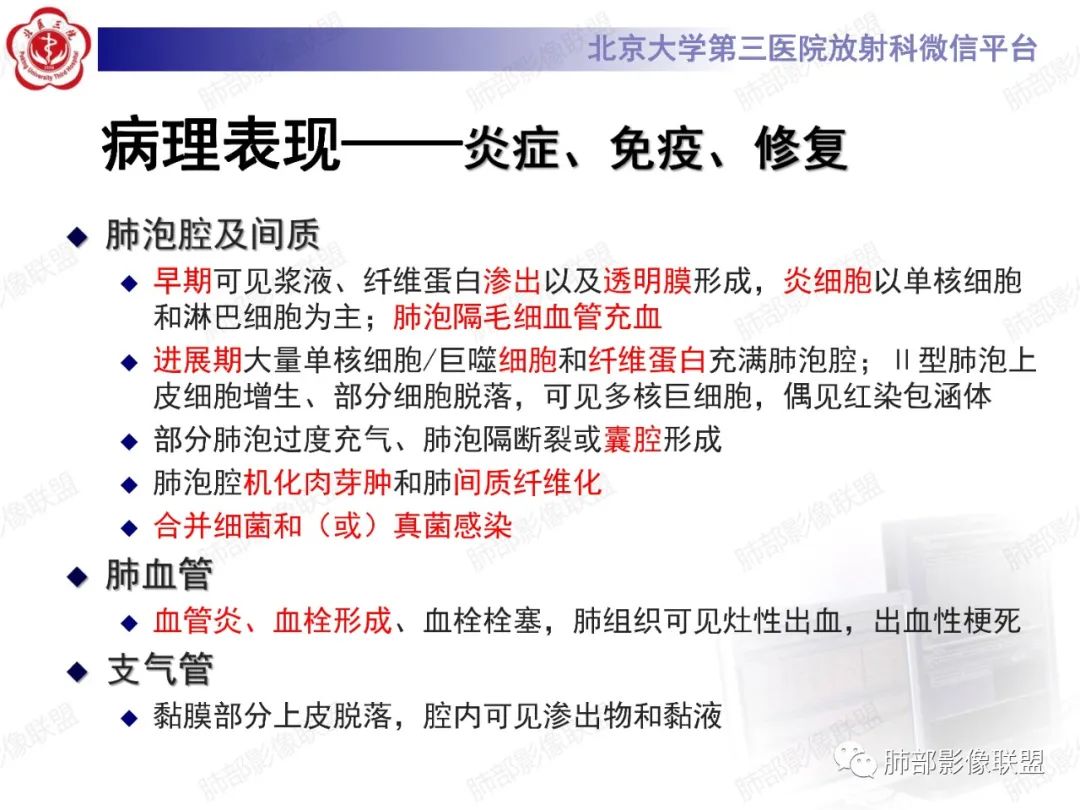 影像PPT - 【PPT】新冠肺炎CT影像表现-6