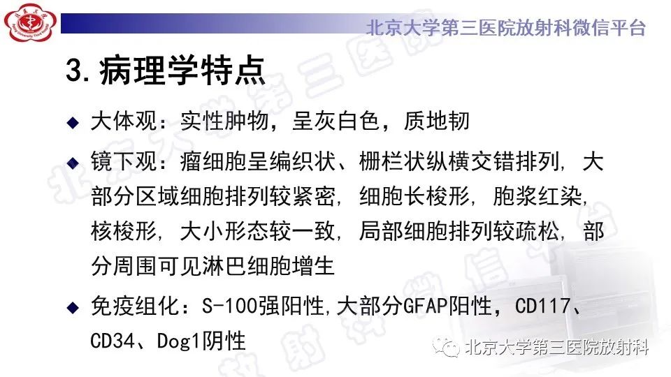 影像PPT - 【PPT】胃神经鞘瘤-13