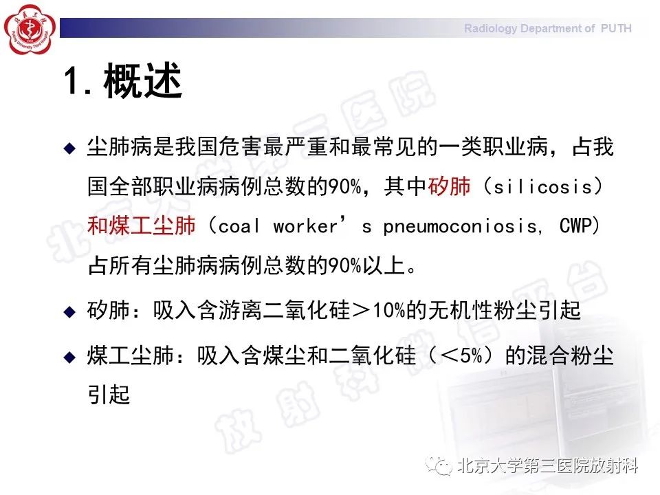影像PPT - 【PPT】矽肺-12