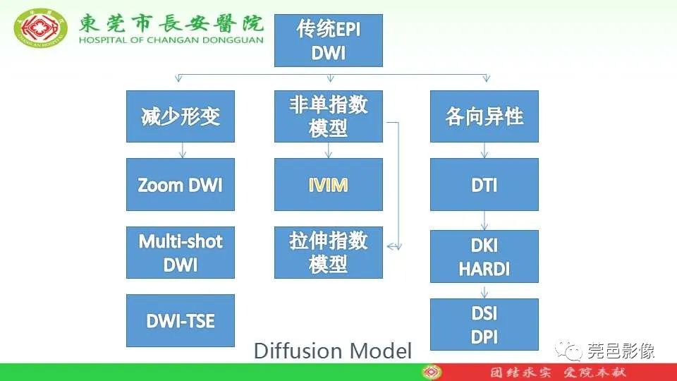 影像PPT - 【PPT】IVIM-DWI多参数鉴别多形性腺瘤和Warthin瘤-15