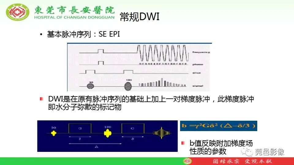 影像PPT - 【PPT】IVIM-DWI多参数鉴别多形性腺瘤和Warthin瘤-16