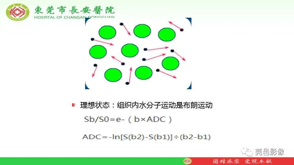 影像PPT - 【PPT】IVIM-DWI多参数鉴别多形性腺瘤和Warthin瘤-17