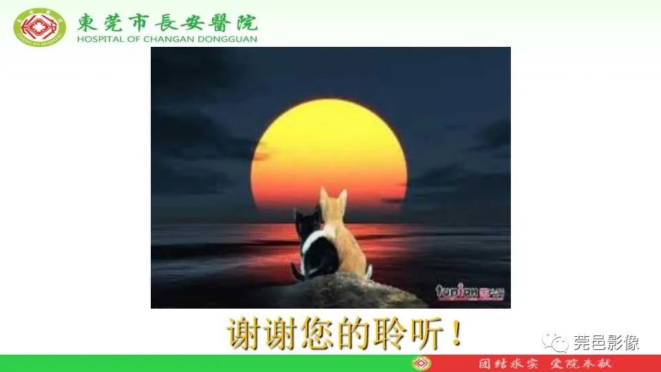 影像PPT - 【PPT】IVIM-DWI多参数鉴别多形性腺瘤和Warthin瘤-39