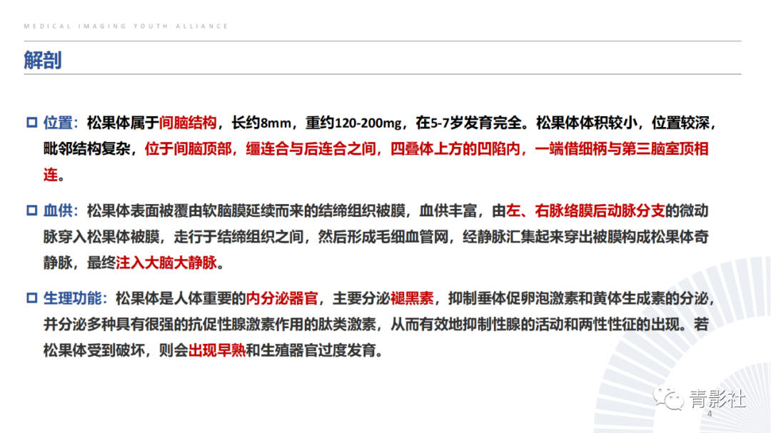 影像PPT - 【PPT】松果体区肿瘤性病变影像诊断-4
