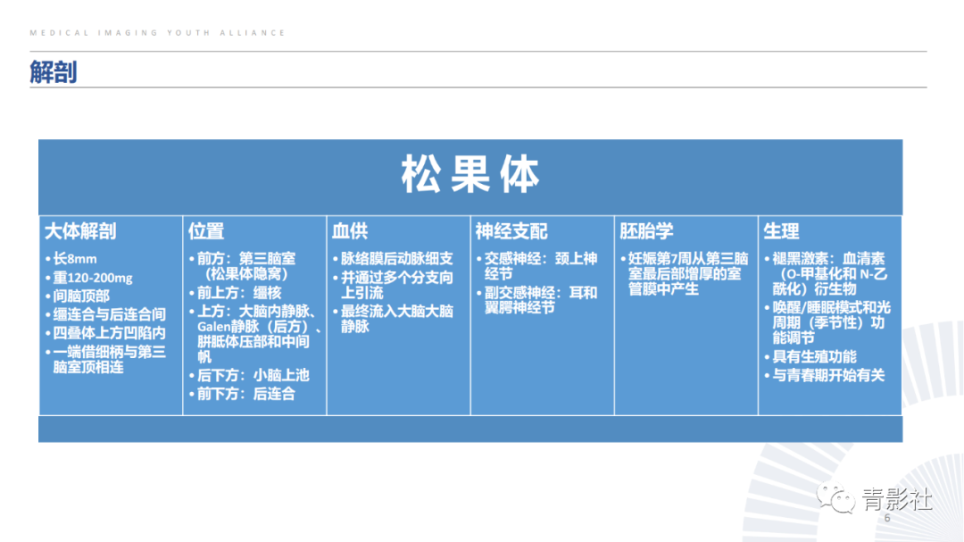 影像PPT - 【PPT】松果体区肿瘤性病变影像诊断-6