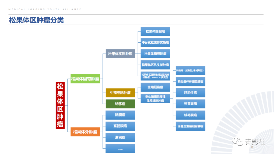 影像PPT - 【PPT】松果体区肿瘤性病变影像诊断-8