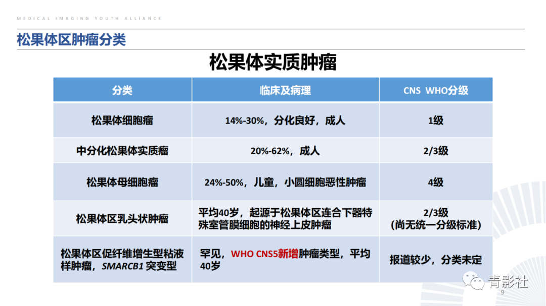 影像PPT - 【PPT】松果体区肿瘤性病变影像诊断-9
