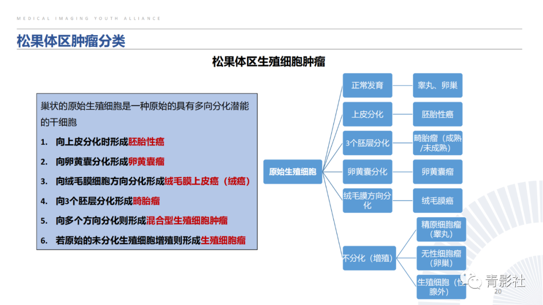 影像PPT - 【PPT】松果体区肿瘤性病变影像诊断-20