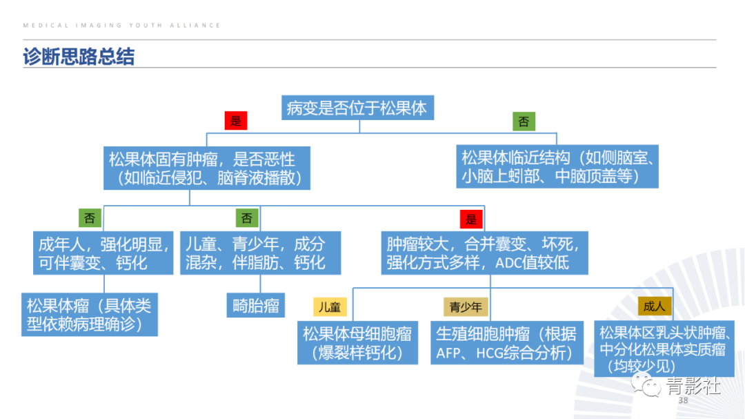 影像PPT - 【PPT】松果体区肿瘤性病变影像诊断-38