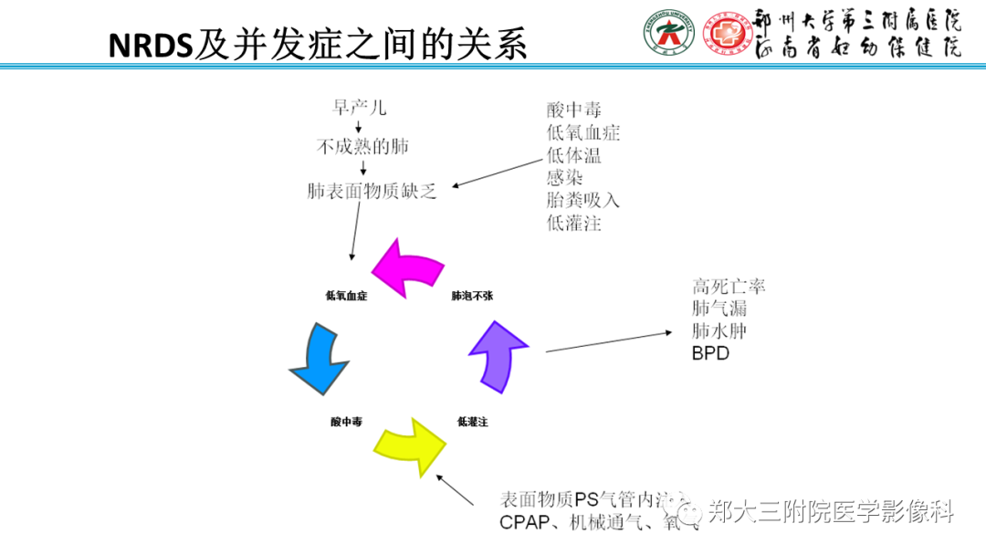影像PPT - 【PPT】新生儿呼吸窘迫综合征床旁胸片诊断-7