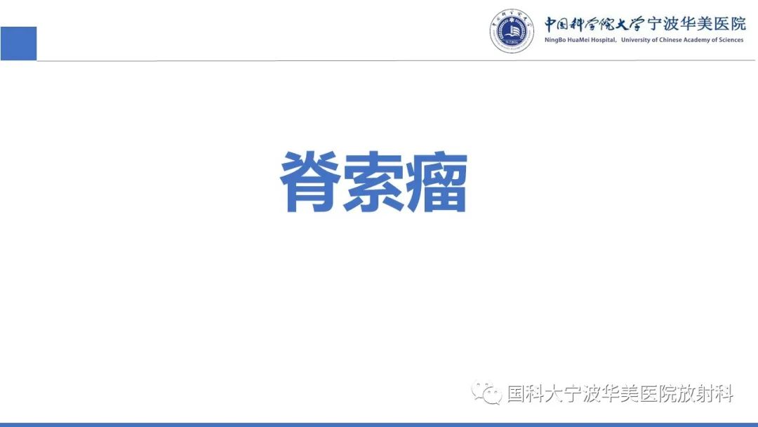 影像PPT - 【病例】骶椎脊索瘤1例CT及MR影像-21