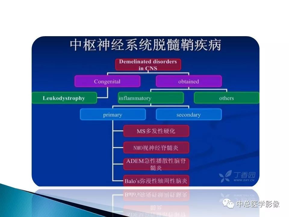 影像PPT - 【PPT】视神经脊髓炎：临床经过与MRI动态表现-37