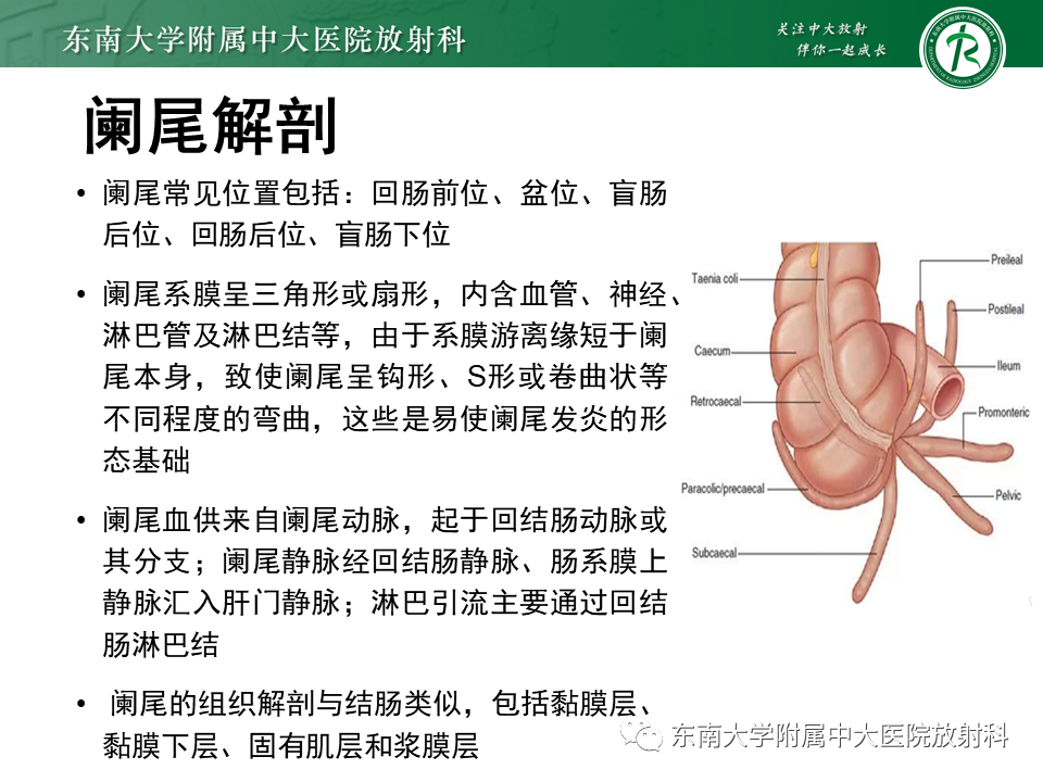 影像PPT - 【PPT】阑尾黏液性肿瘤-9 影像PPT - 【PPT】阑尾黏液性肿瘤-9