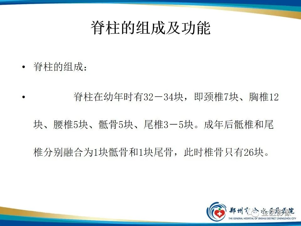 影像PPT - 【PPT】全脊柱拍片技术与临床意义-2