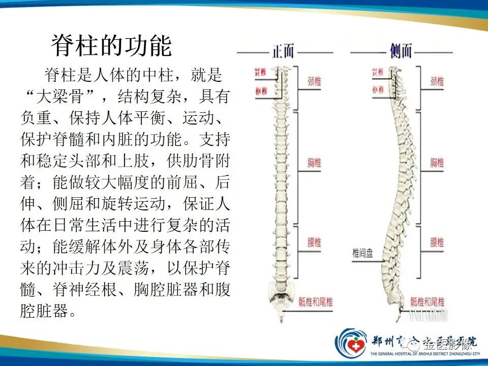影像PPT - 【PPT】全脊柱拍片技术与临床意义-4
