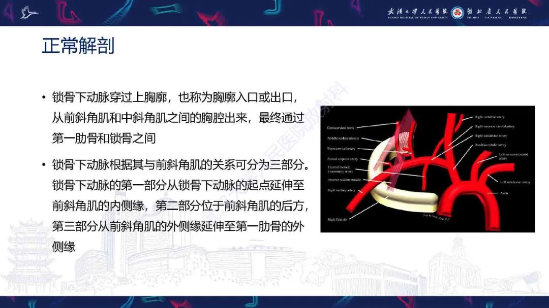 影像PPT - 【PPT】锁骨下动脉正常解剖及病变影像诊断-5