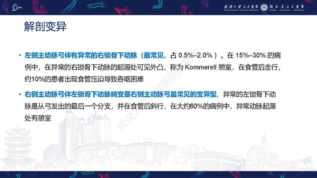 影像PPT - 【PPT】锁骨下动脉正常解剖及病变影像诊断-8