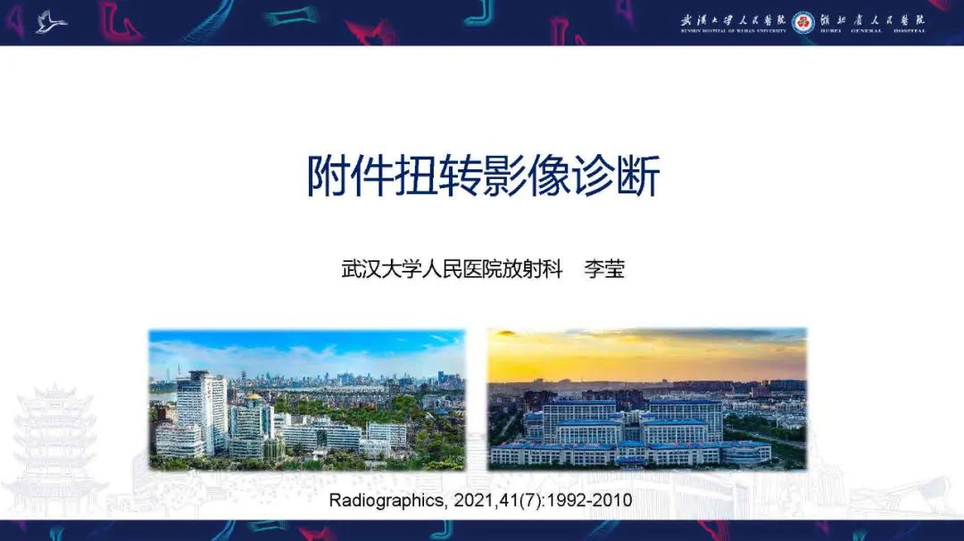 影像PPT - 【PPT】附件扭转影像诊断-1