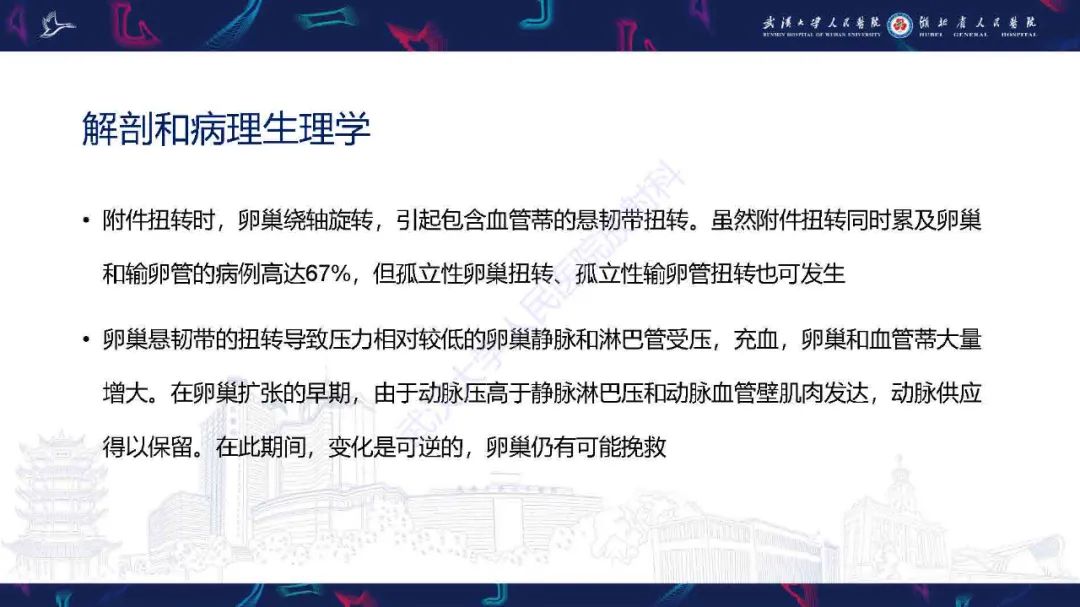 影像PPT - 【PPT】附件扭转影像诊断-5