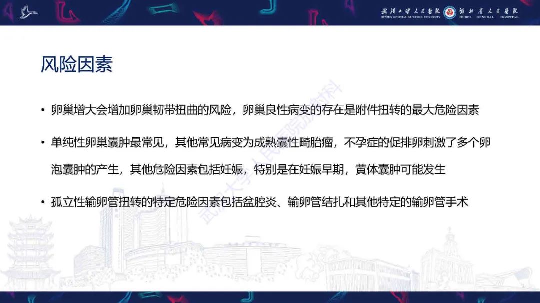 影像PPT - 【PPT】附件扭转影像诊断-6