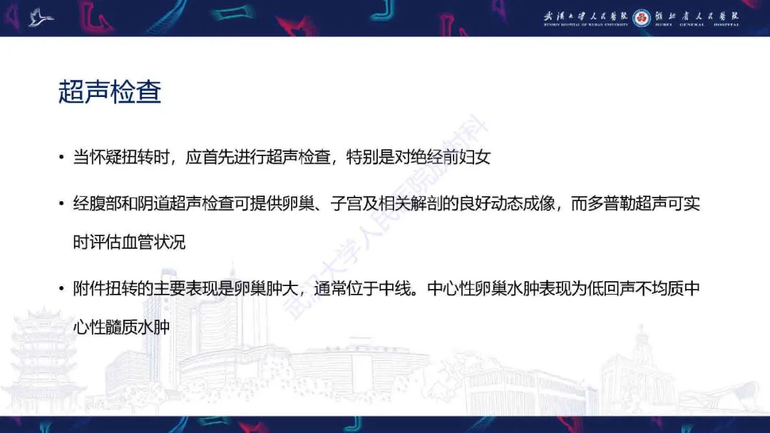 影像PPT - 【PPT】附件扭转影像诊断-9