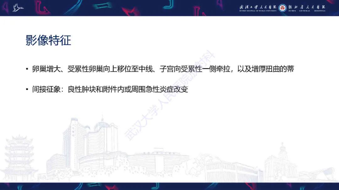 影像PPT - 【PPT】附件扭转影像诊断-8