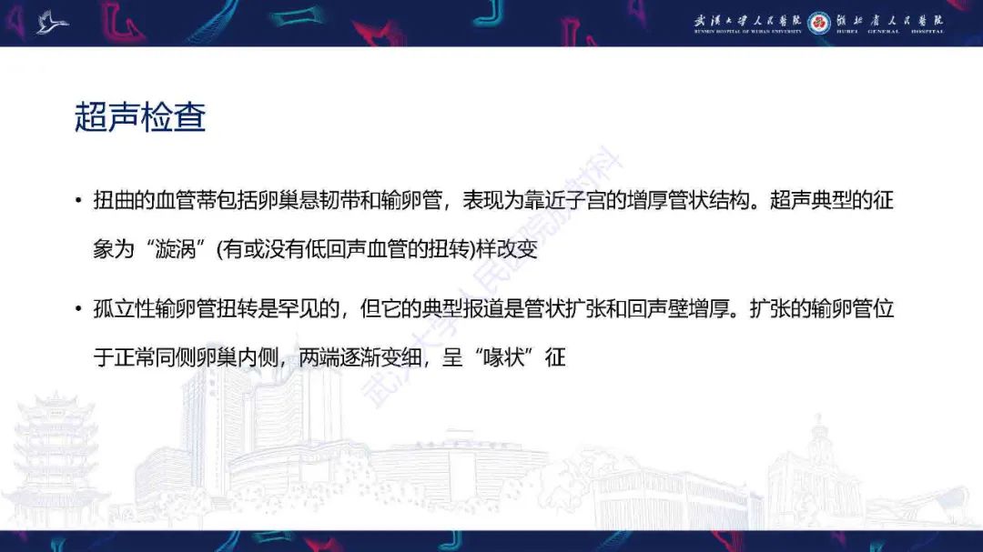 影像PPT - 【PPT】附件扭转影像诊断-10
