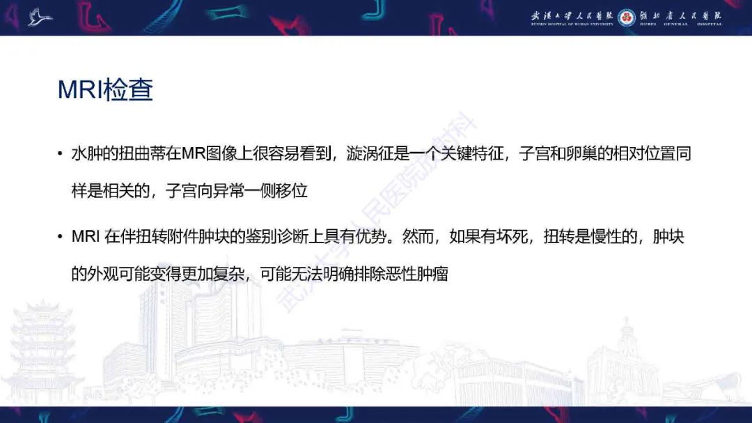 影像PPT - 【PPT】附件扭转影像诊断-13